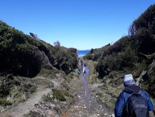 Trilha que leva até a praia selvagem em Chepu