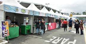 Foto: (Foto: Divulgação.)