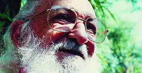 Curso gratuito sobre a Pedagogia Paulo Freire recebe inscrições