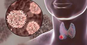 Foto: (iStock/Dr_Microbe)