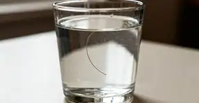 O teste capilar mais importante para descobrir seu tipo de fio