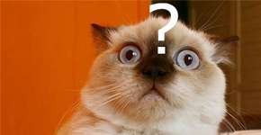 Foto: (Imagem sem texto alternativo disponivel ID [1121102])