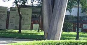 Foto: (Imagem sem texto alternativo disponivel ID [2757])