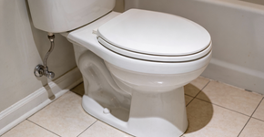 Foto: (Imagem sem texto alternativo disponivel ID [2721656])