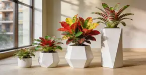 Foto: (Imagem sem texto alternativo disponivel ID [2683169])