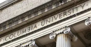 Foto: (DNY59/iStock)