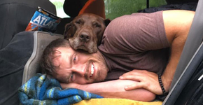 Foto: (Imagem sem texto alternativo disponivel ID [1108052])