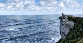 Foto: (iStock/Renan Alves)