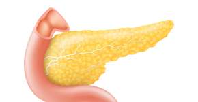 Foto: (Inna Kharlamova/istock)