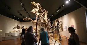 Museu de Zoologia da USP