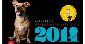 Calendário dá destaque para cachorros vira-lata e reverte verba para castração