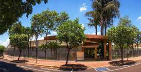 Foto: (Divulgação)