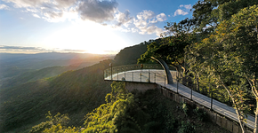 Foto: (Divulgação)