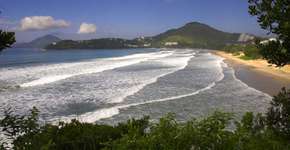 Foto: (Getty Images/iStockphoto)