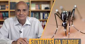 Dengue cresce 40% em 2 semanas. Aprenda a identificar rapidamente