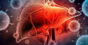 Pesquisa descobre hormônio para tratamento contra câncer de fígado