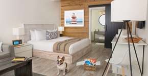 Foto: (Imagem sem texto alternativo disponivel ID [1868966])