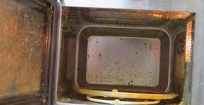 Foto: (Getty Images/iStockphoto)