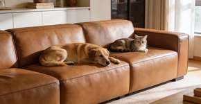 Foto: (Imagem sem texto alternativo disponivel ID [2700205])