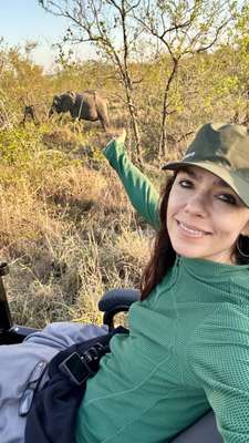 Safári com carros elétricos na savana Sul-africana