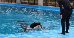 Foto: (Imagem sem texto alternativo disponivel ID [1066387])