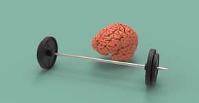 Nutricionista de Harvard indica o melhor nutriente para o cérebro