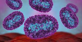 Foto: (Meletios Verras/istock)