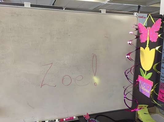 Foto: Reprodução/Amanda Jette Knox