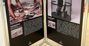 Foto: (Imagem sem texto alternativo disponivel ID [2226060])