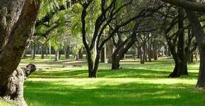 Foto: (Imagem sem texto alternativo disponivel ID [1833833])