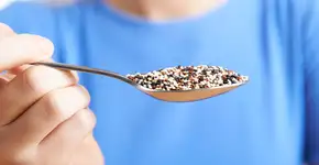 Harvard recomenda incluir quinoa na rotina diária; veja os benefícios