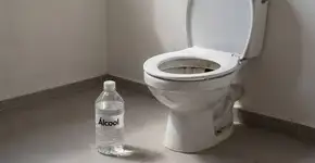 Foto: (Imagem sem texto alternativo disponivel ID [2708922])