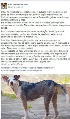 Página conta a história dos animais (Imagem: Reprodução/Facebook)