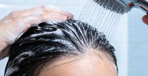 Foto: (Imagem sem texto alternativo disponivel ID [2692771])