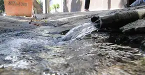 Foto: (Imagem sem texto alternativo disponivel ID [1895310])