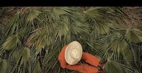 Foto: (Imagem sem texto alternativo disponivel ID [1870552])