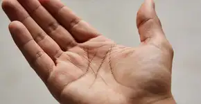 Foto: (Imagem sem texto alternativo disponivel ID [2685805])