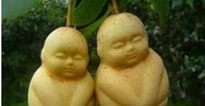 Foto: (Imagem sem texto alternativo disponivel ID [1828571])