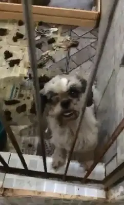 Reprodução/Facebook 