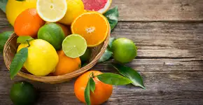 Conheça os alimentos que favorecem a saúde e o bom funcionamento dos rins