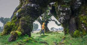 Foto: (ArtistGNDphotography/iStock)