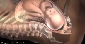 Foto: (© Pregnancy Videos/Facebook)