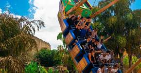 Foto: (Divulgação)