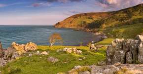 Foto: (sara_winter/iStock)