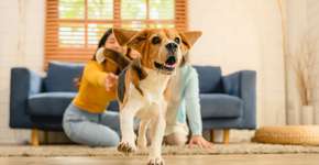 Foto: (Imagem sem texto alternativo disponivel ID [2734530])