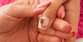 Foto: (Imagem sem texto alternativo disponivel ID [1153759])