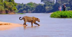 Foto: (iSTOCK/reisegraf)