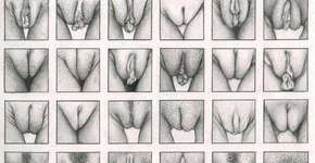 Foto: (Imagem sem texto alternativo disponivel ID [1341787])