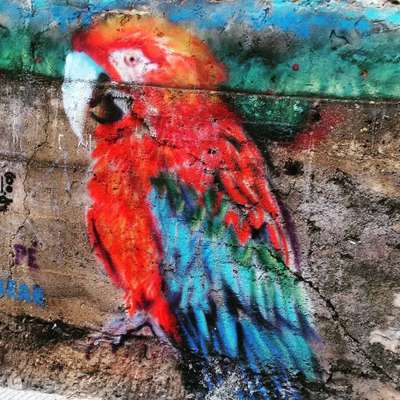 Graffiti no bairro Serra, clicado por @welderpierre