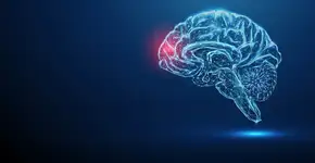 Alimentos que podem cortar o risco de demência em 28%